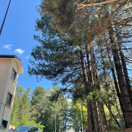 شقة Camigliatello Sila Dei Ribes كاميغلياتيلو سيلانو